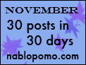 NaBloPoMo.Com - November 2008