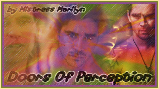 holder for 'Doors of Perception' banner