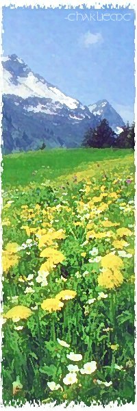 mountain flowers