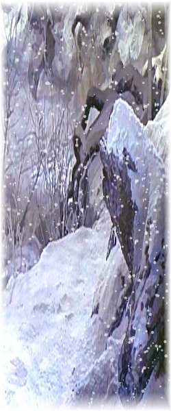 snowy log